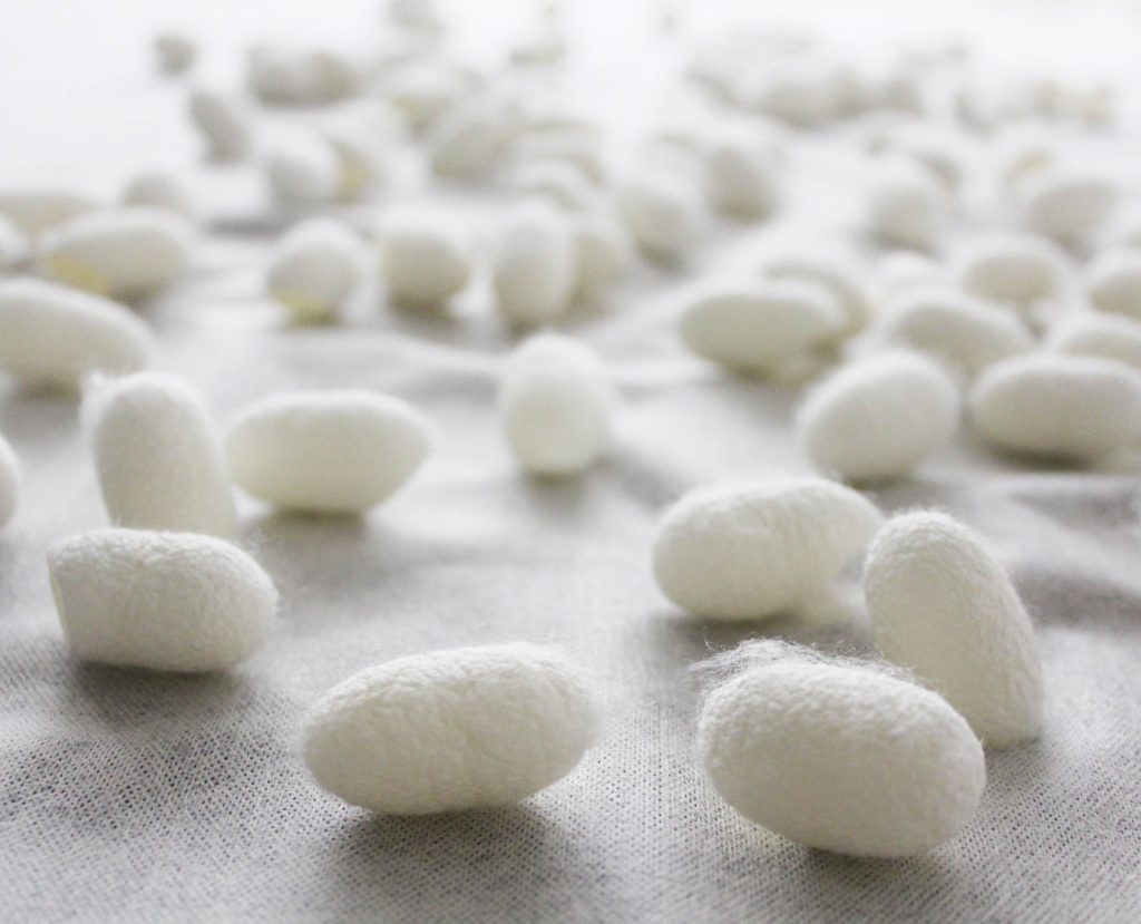 The material composition and molecular structure of silk