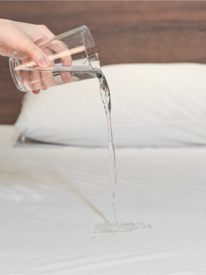 Waterproof Mattress Protector with 80 & 20 Terry Fabric